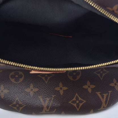 Louis Vuitton Monogram Bumbag 5 of 8