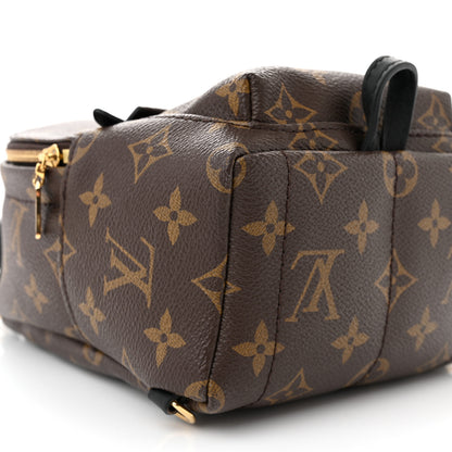 Louis Vuitton Monogram Palm Springs Backpack Mini 10 of 11