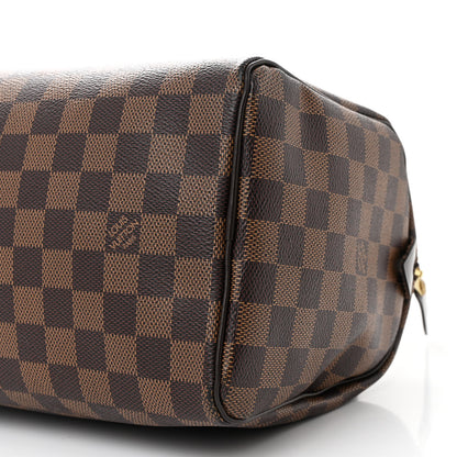 Louis Vuitton Damier Ebene Speedy 25 10 of 10
