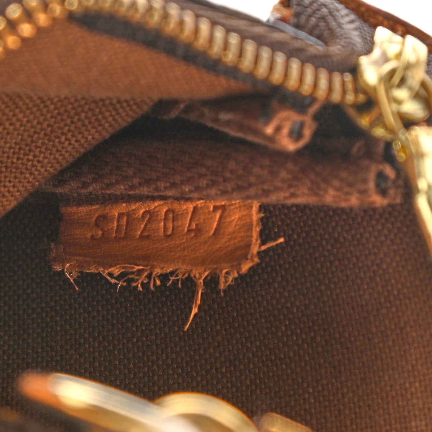 Monogram Mini Pochette Accessories