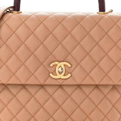 Chanel Caviar Lizard Quilted Large Coco Handle Flap Beige 8 of 10