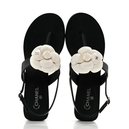 Chanel Lambskin Camellia Thong Sandals 36.5 Black White 2 of 10