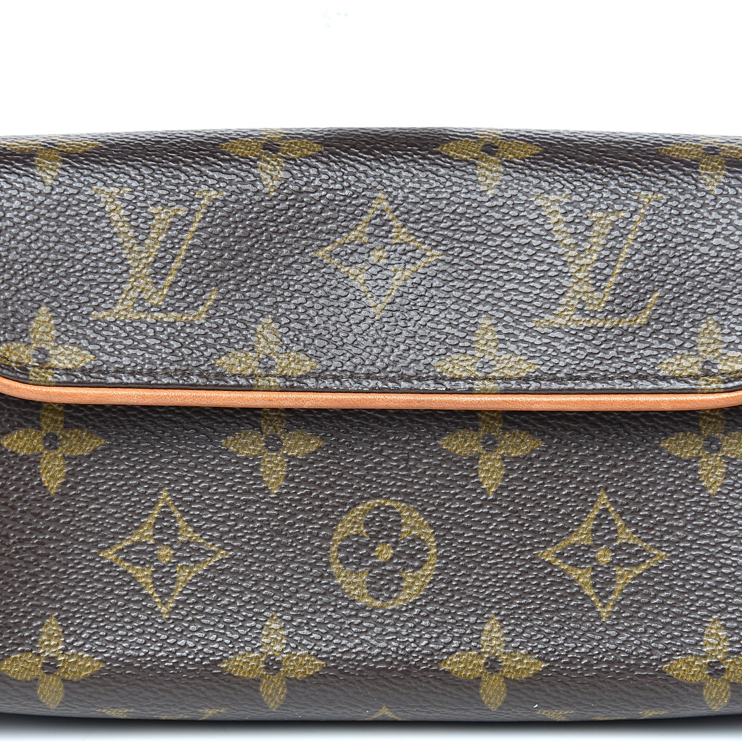 Monogram Pochette Florentine S