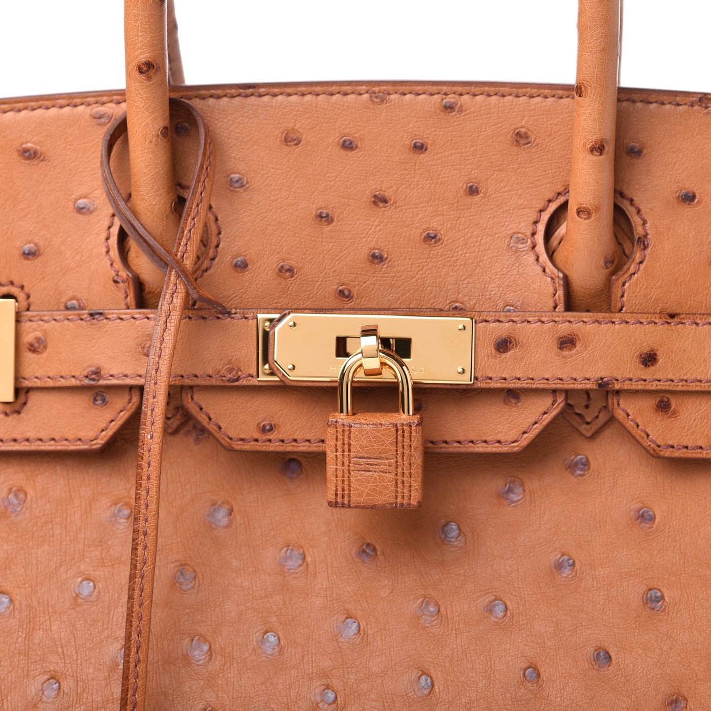 Ostrich Birkin 30 Cognac