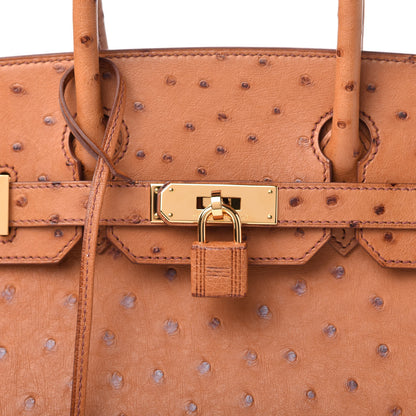 Hermes Ostrich Birkin 30 Cognac 10 of 11