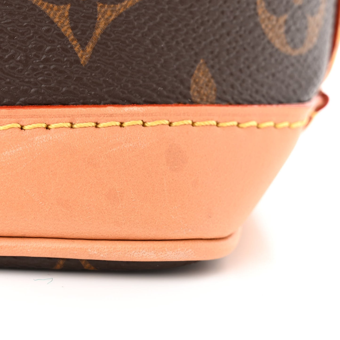 Monogram Nano Noe NV
