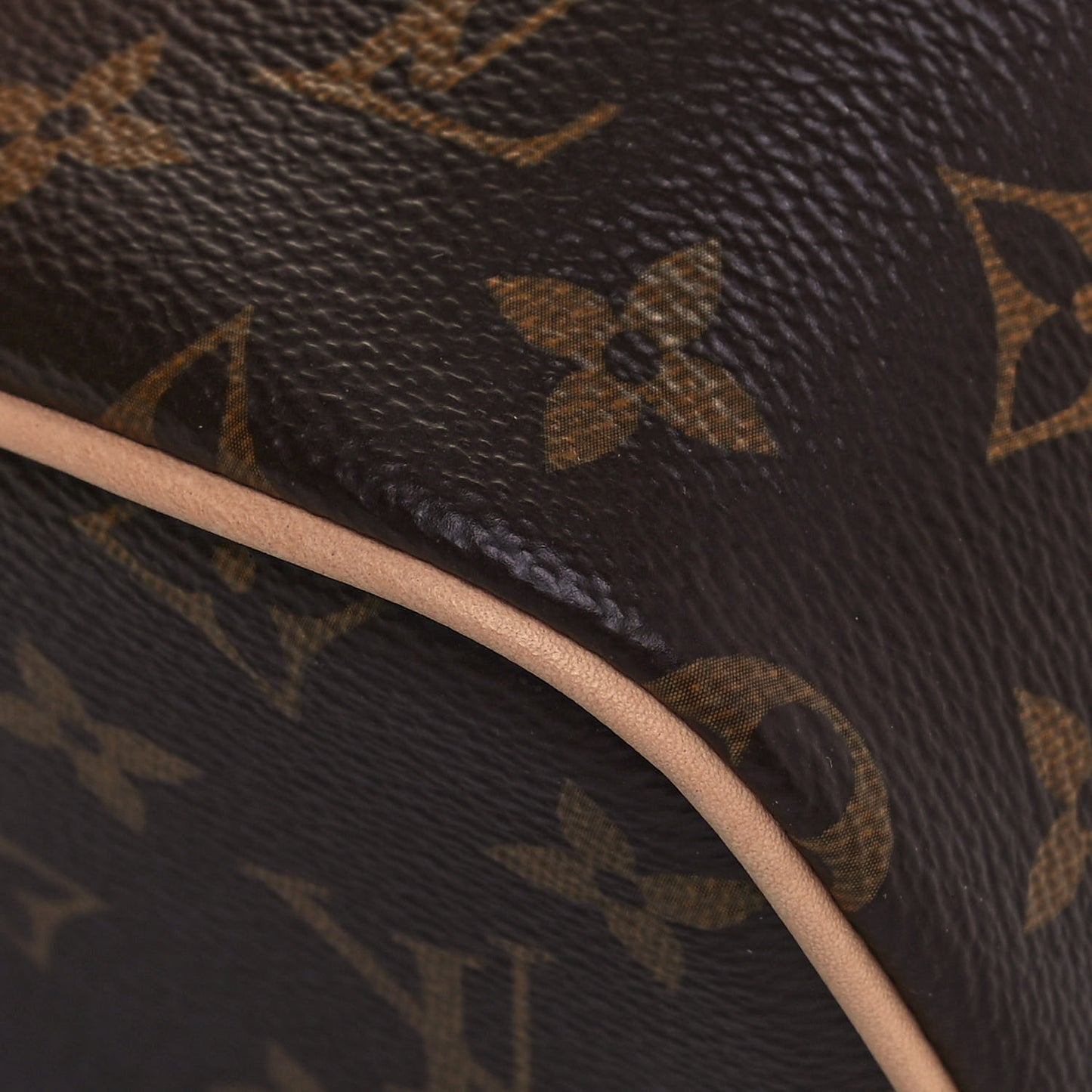 Monogram Nano Nice