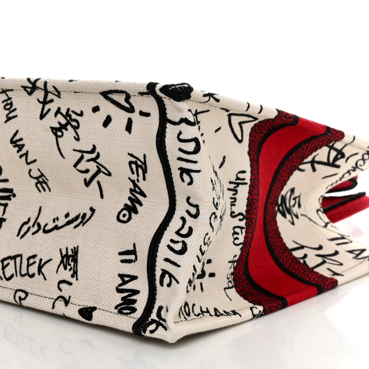 Canvas Embroidered Medium Dioramour Graffiti Book Tote Latte Multicolor