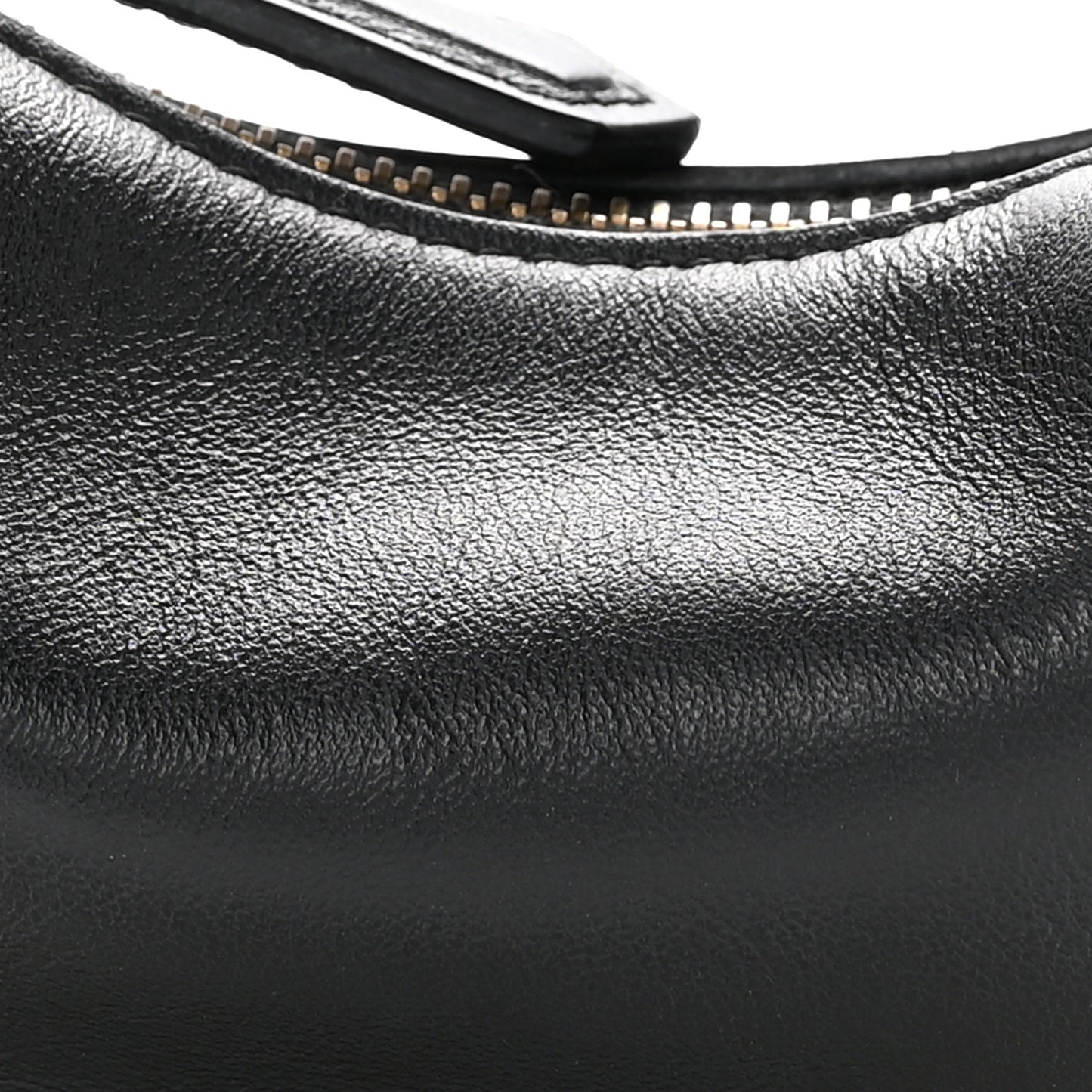 Vitello Grace Matte Nano Fendigraphy Hobo Charm Black