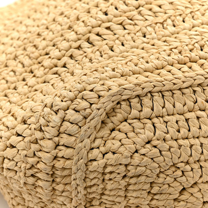 Saint Laurent Raffia Rive Gauche Tote Natural 12 of 14