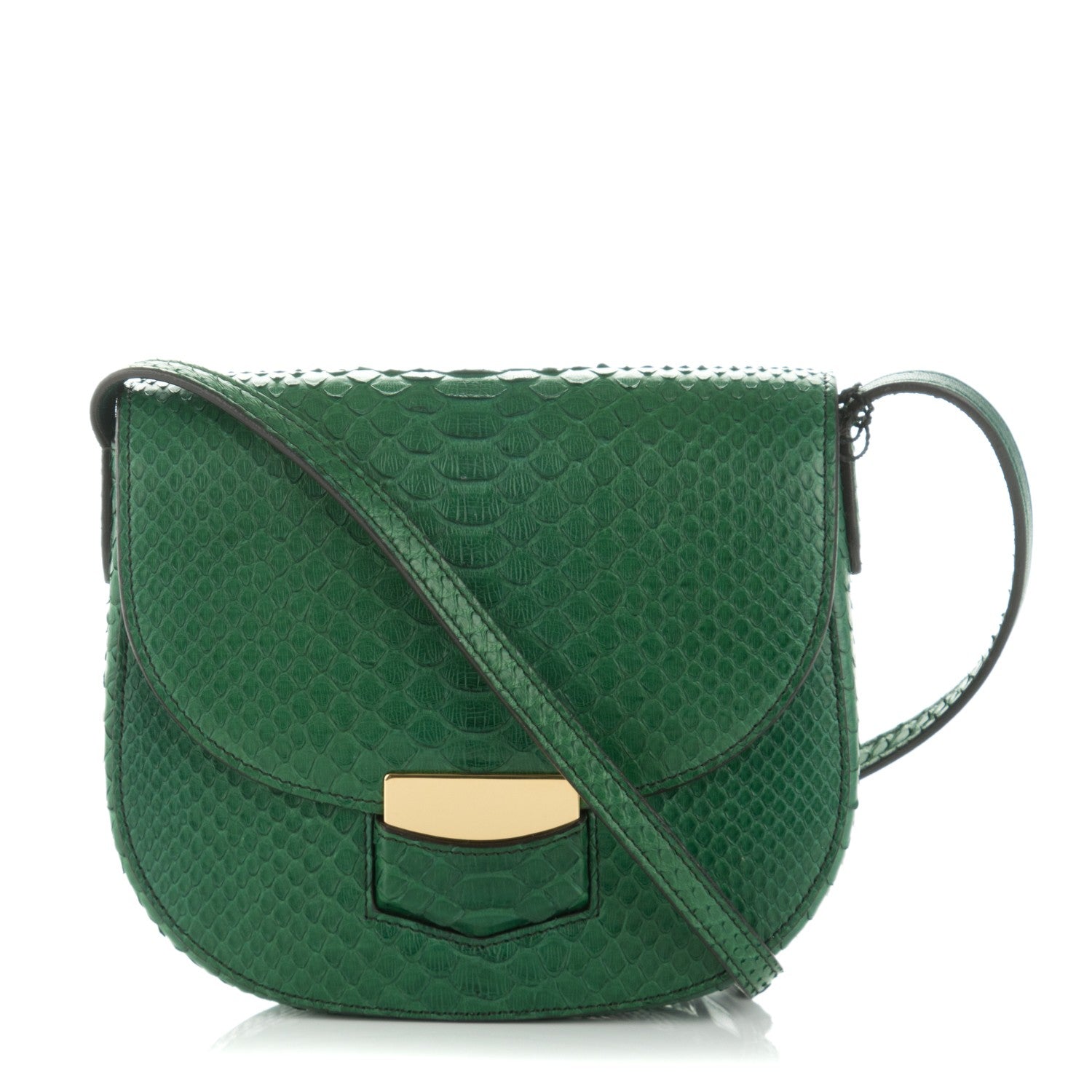Celine Python Small Trotteur Dark Green 1 of 7