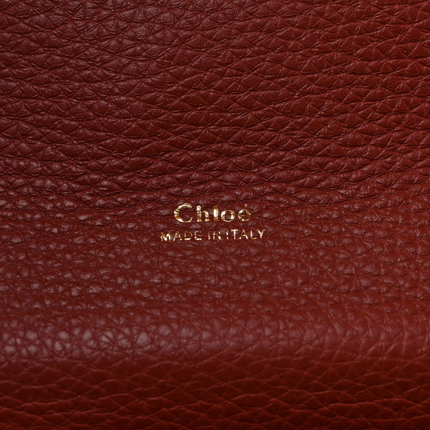 Shiny Grained Calfskin Medium Aby Day Shoulder Bag Sepia Brown