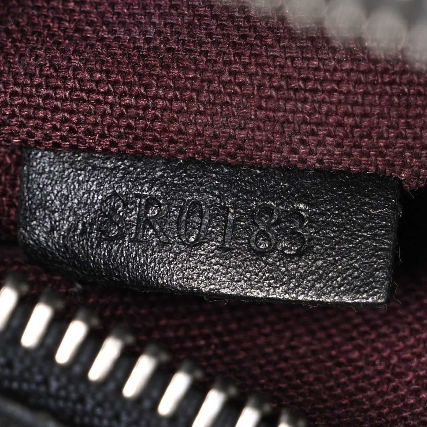 Monogram Macassar Palk Backpack