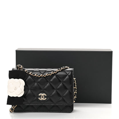 Chanel Lambskin Quilted Mini Camellia Bow Wallet On Chain WOC Black 14 of 14