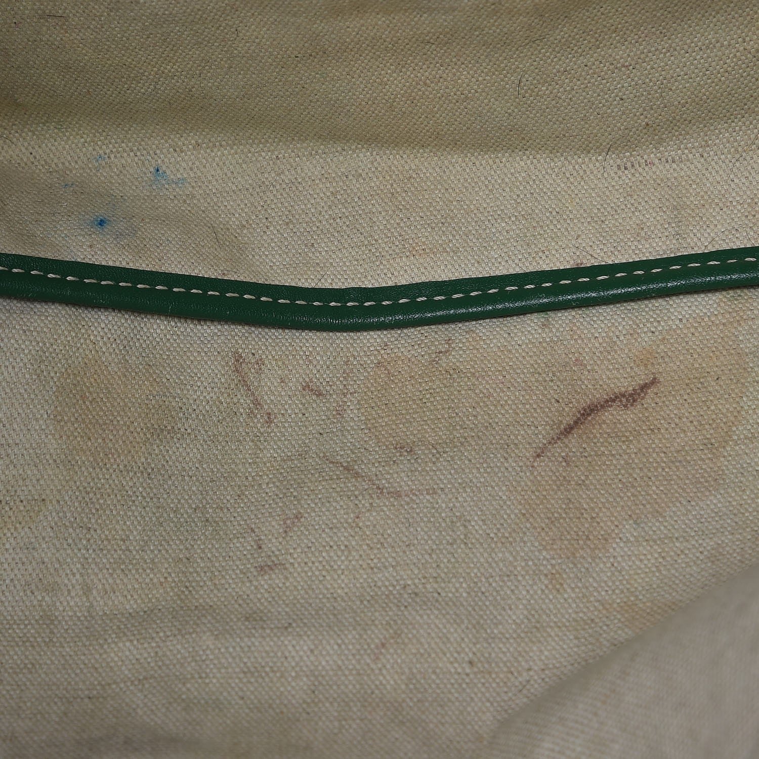 Goyard Goyardine Saint Louis PM Green 9 of 16