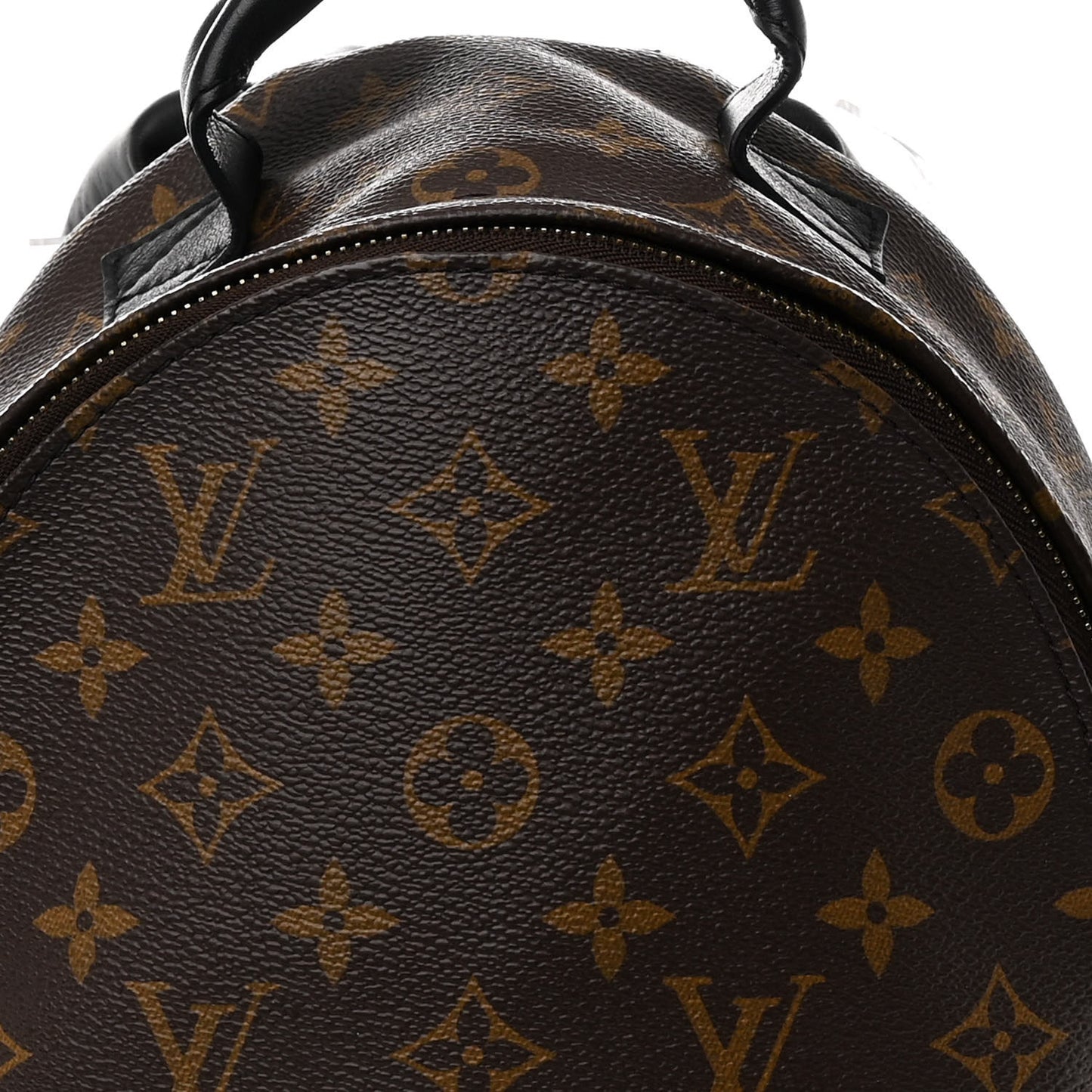 Monogram Palm Springs Backpack PM