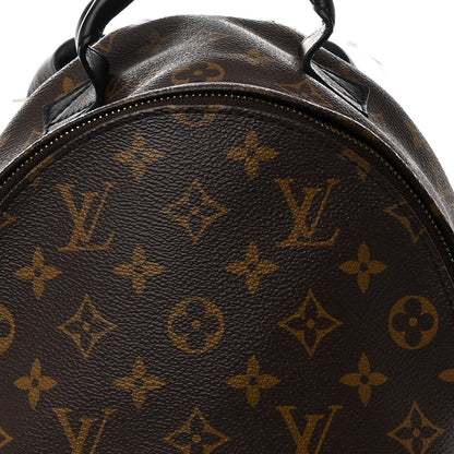 Louis Vuitton Monogram Palm Springs Backpack PM 8 of 10
