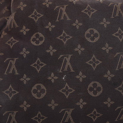 Louis Vuitton Mini Lin Speedy 30 Ebene 15 of 15