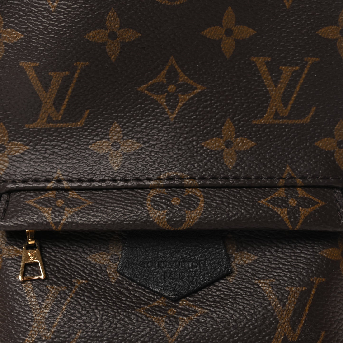 Monogram Palm Springs Backpack Mini