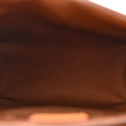 Louis Vuitton Monogram Dust Steamer 15 5 of 9