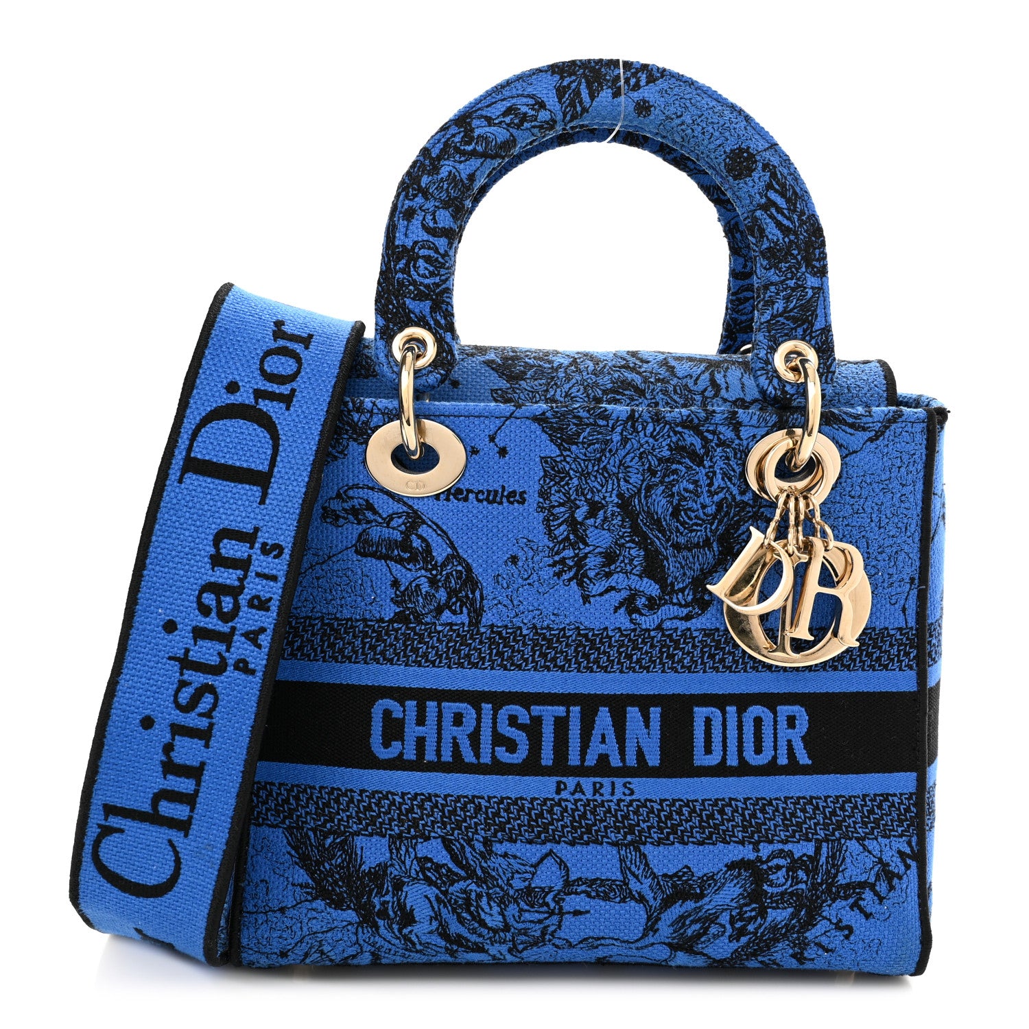 Christian Dior Canvas Toile de Jouy Zodiac Embroidered Medium Lady D-Lite Blue 1 of 9
