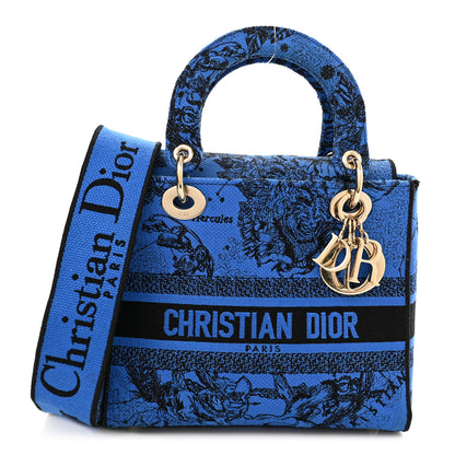 Christian Dior Canvas Toile de Jouy Zodiac Embroidered Medium Lady D-Lite Blue 1 of 9