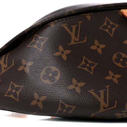 Louis Vuitton Monogram Bumbag 8 of 18