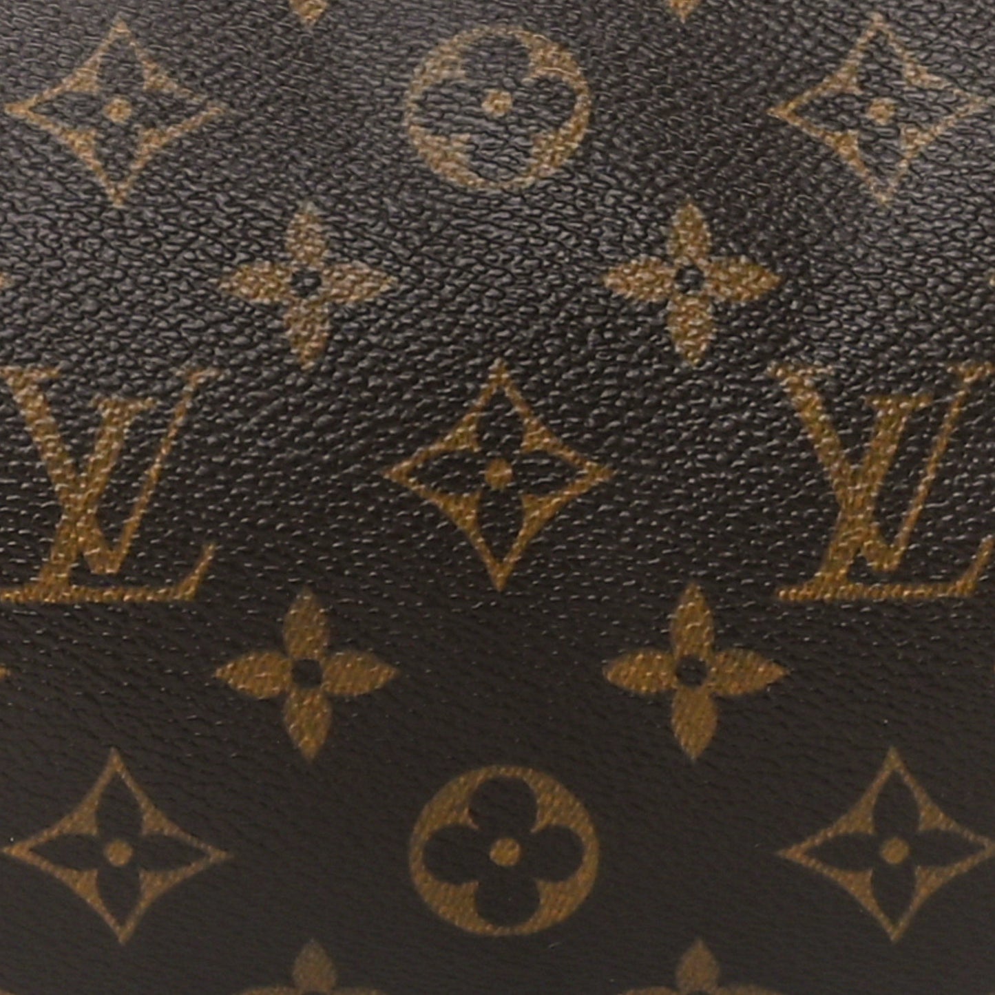 Monogram Papillon 30 with Companion