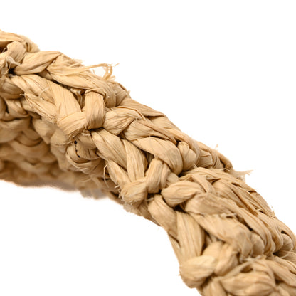 Saint Laurent Raffia Rive Gauche Tote Natural 15 of 15