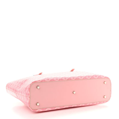 Goyard Goyardine Okinawa PM Pink 4 of 10