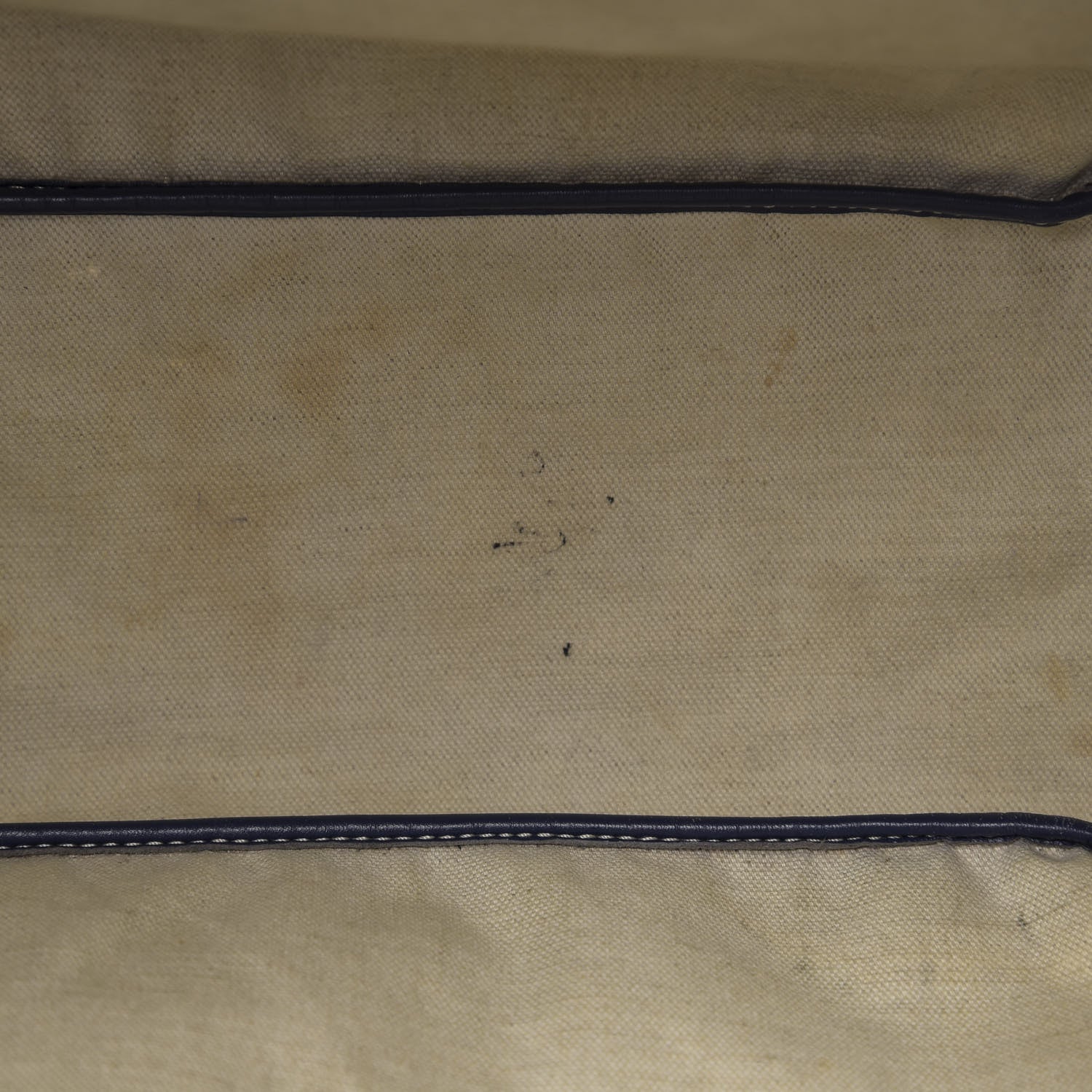 Goyard Goyardine Saint Louis PM Navy 10 of 20