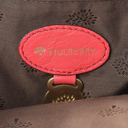 Mulberry Soft Buffalo Medium Alexa Watermelon 5 of 21