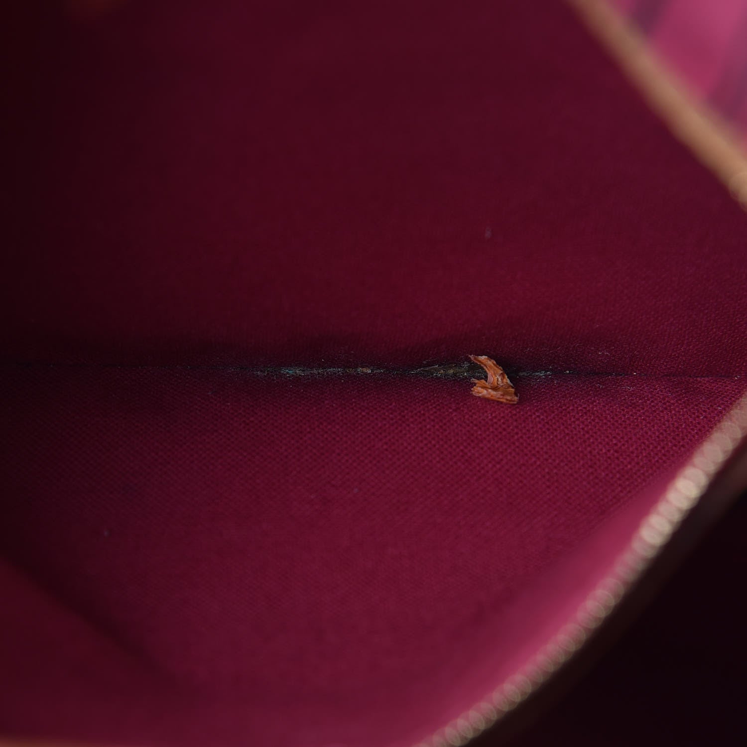 Louis Vuitton Monogram Neo Neverfull MM Pivoine 12 of 19