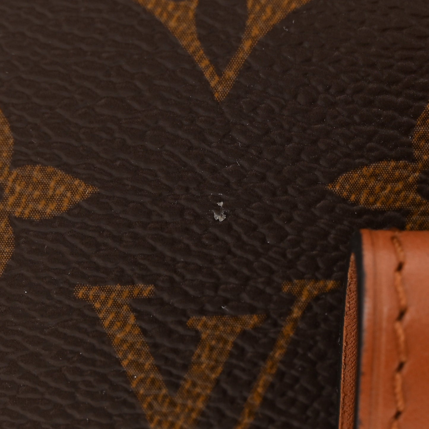 Reverse Monogram Dauphine MM