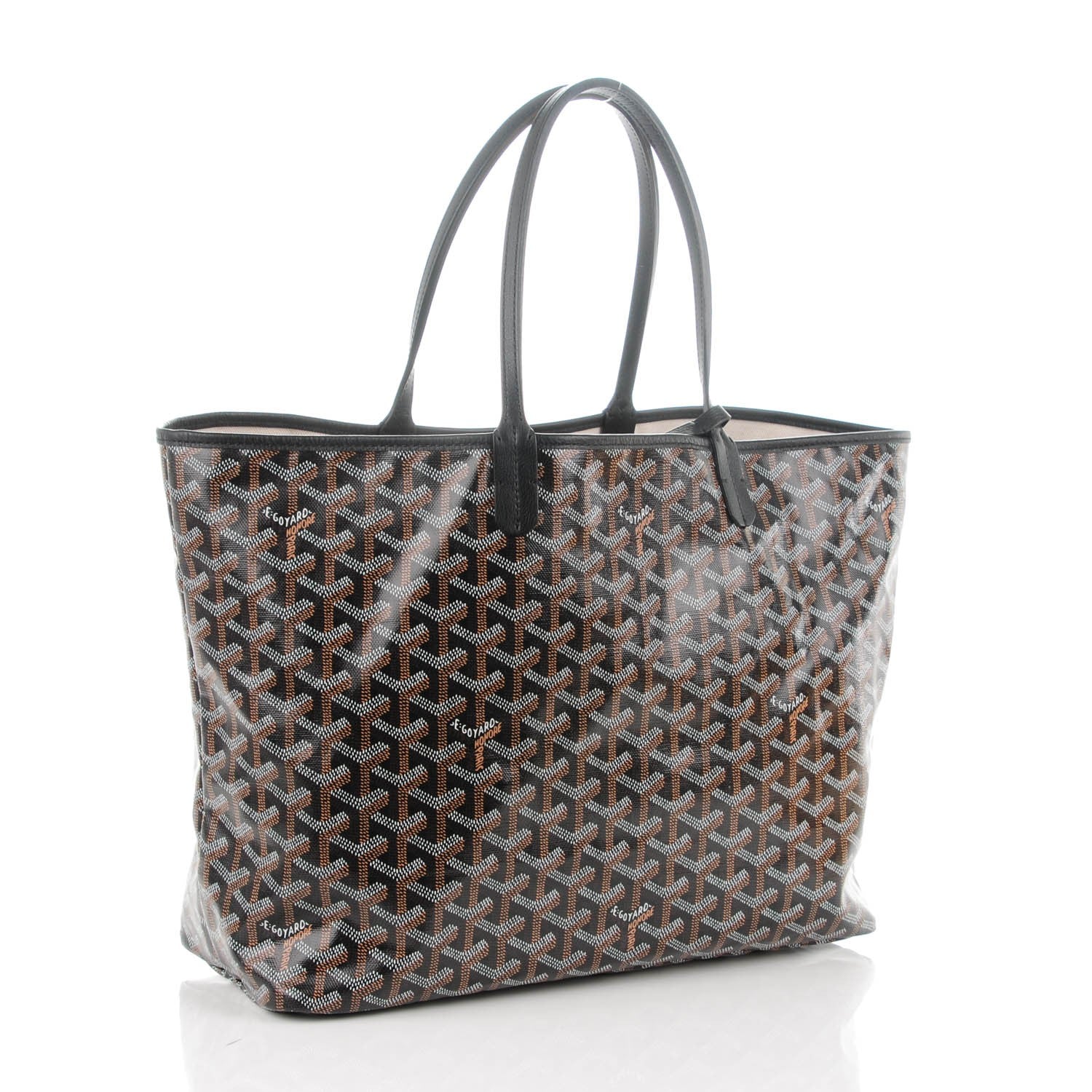 Goyard Goyardine Saint Louis PM Black 4 of 9