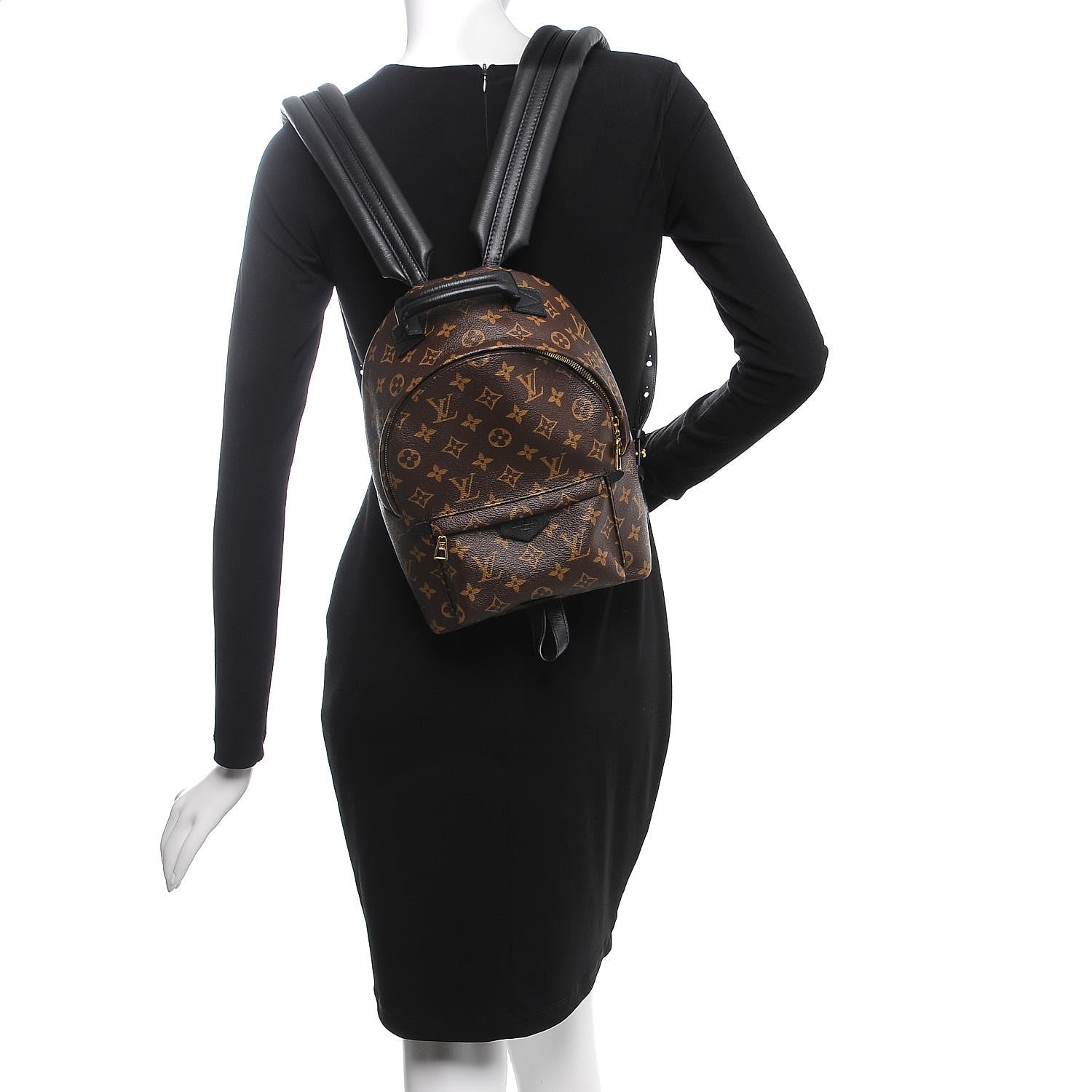 Louis Vuitton Monogram Palm Springs Backpack PM 2 of 8