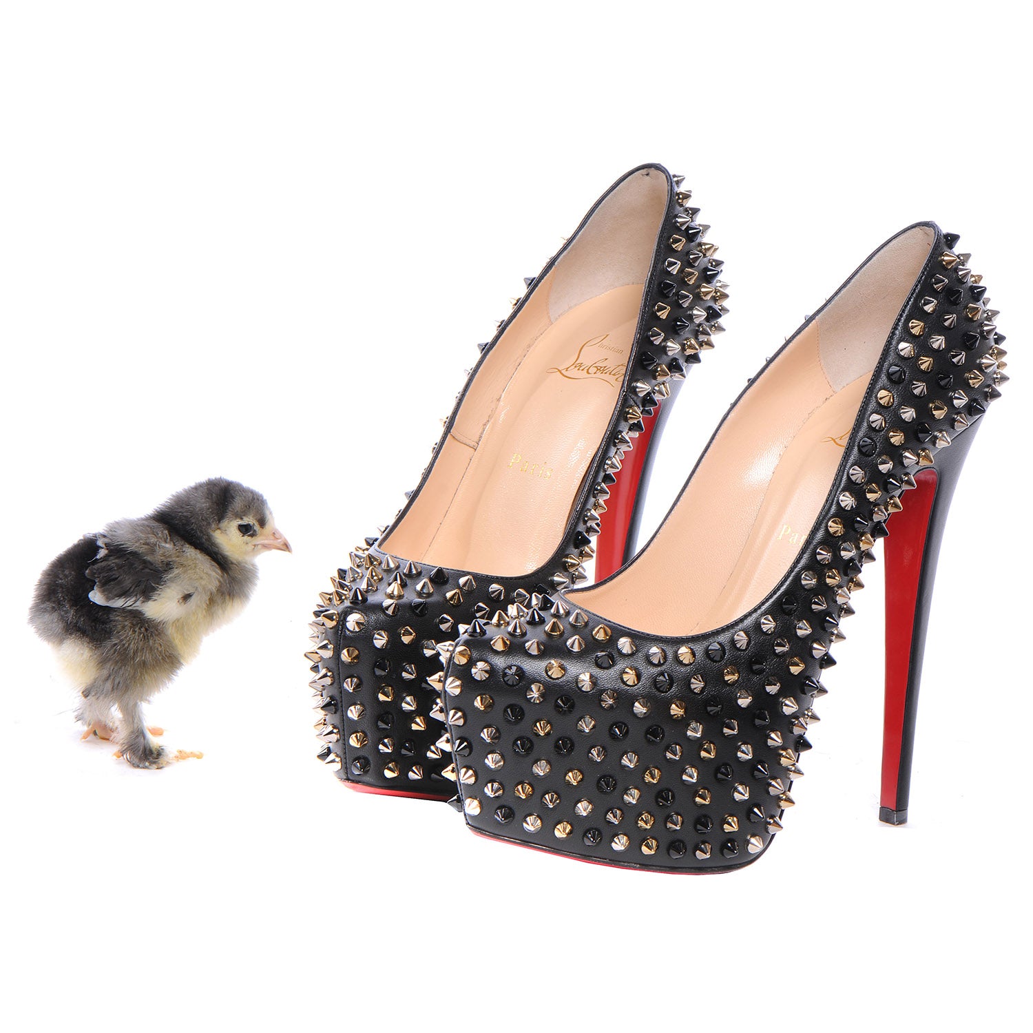 FASHIONPHILE FASHIONPHILE Pet Picks Calendar 5 of 14