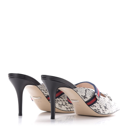 Gucci Elaphe Snakeskin Sylvie Web Cross Strap Mid-Heel Slides 40.5 New Roccia 4 of 10