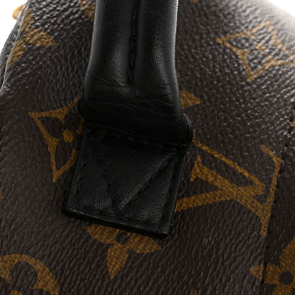 Louis Vuitton Monogram Palm Springs Backpack Mini 12 of 13