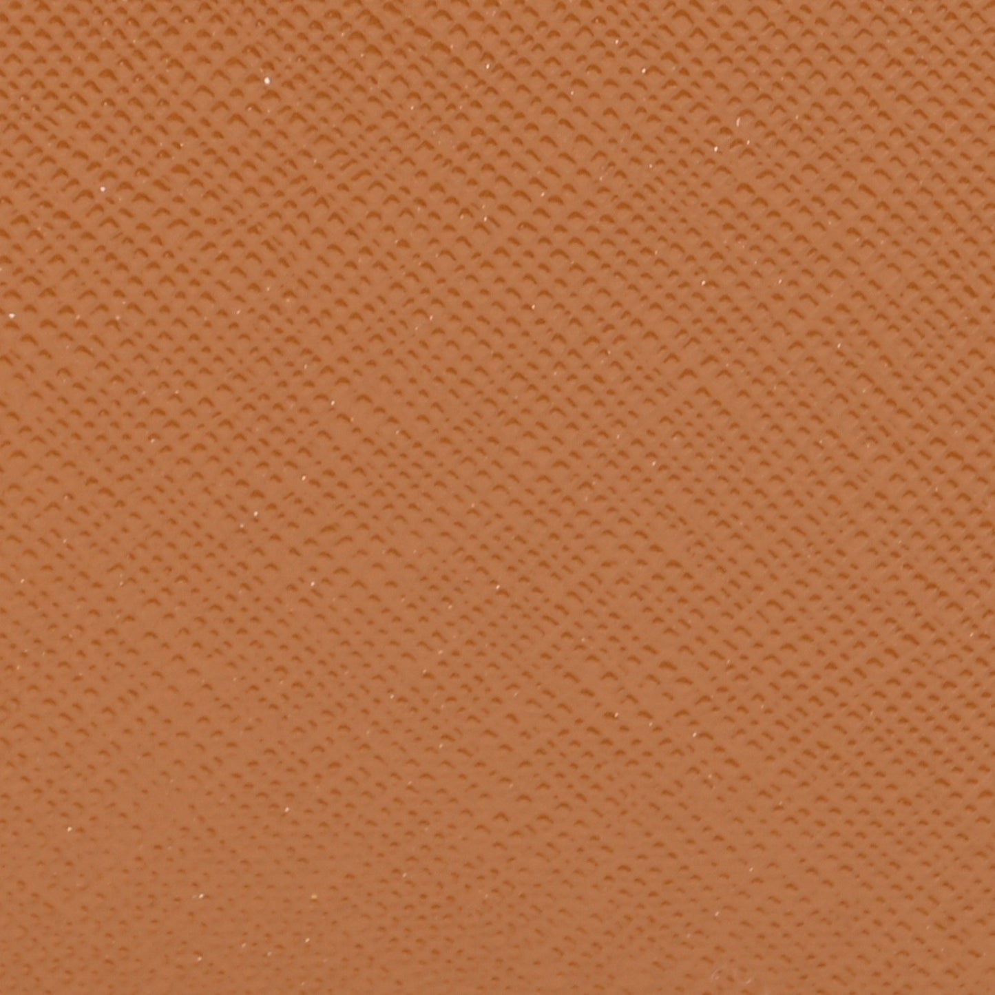 Saffiano Small Snapshot Camera Bag Cathay Spice Multicolor