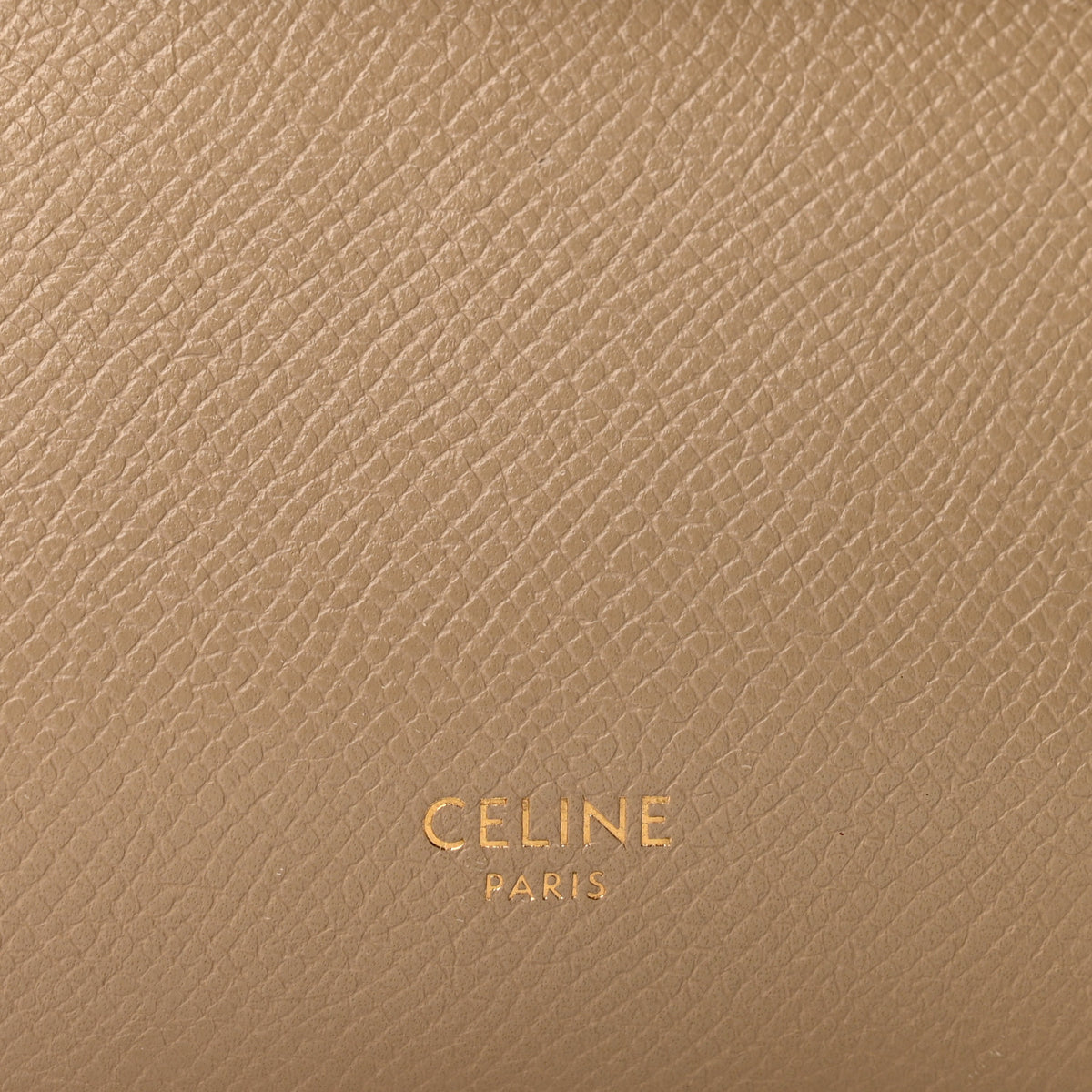 Grained Calfskin Nano Belt Bag Light Taupe