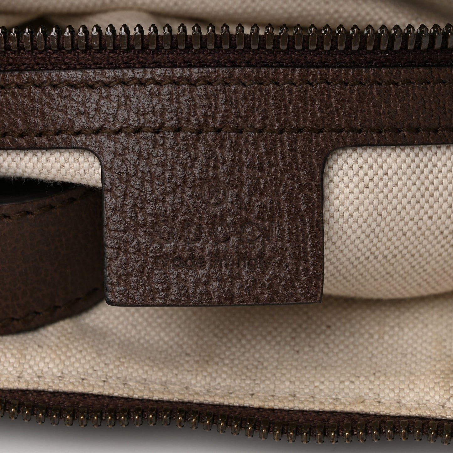 GG Supreme Monogram Web Small Ophidia Half Moon Hobo Brown