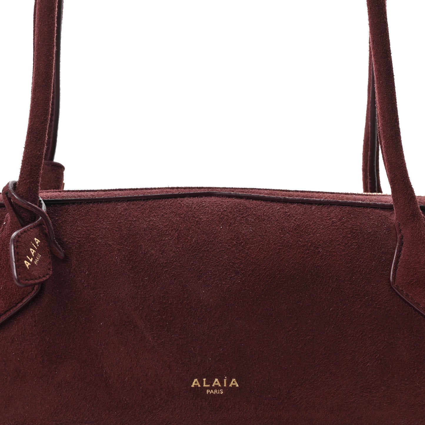 Suede Goatskin Medium Le Teckel Bag Rouge Grenat