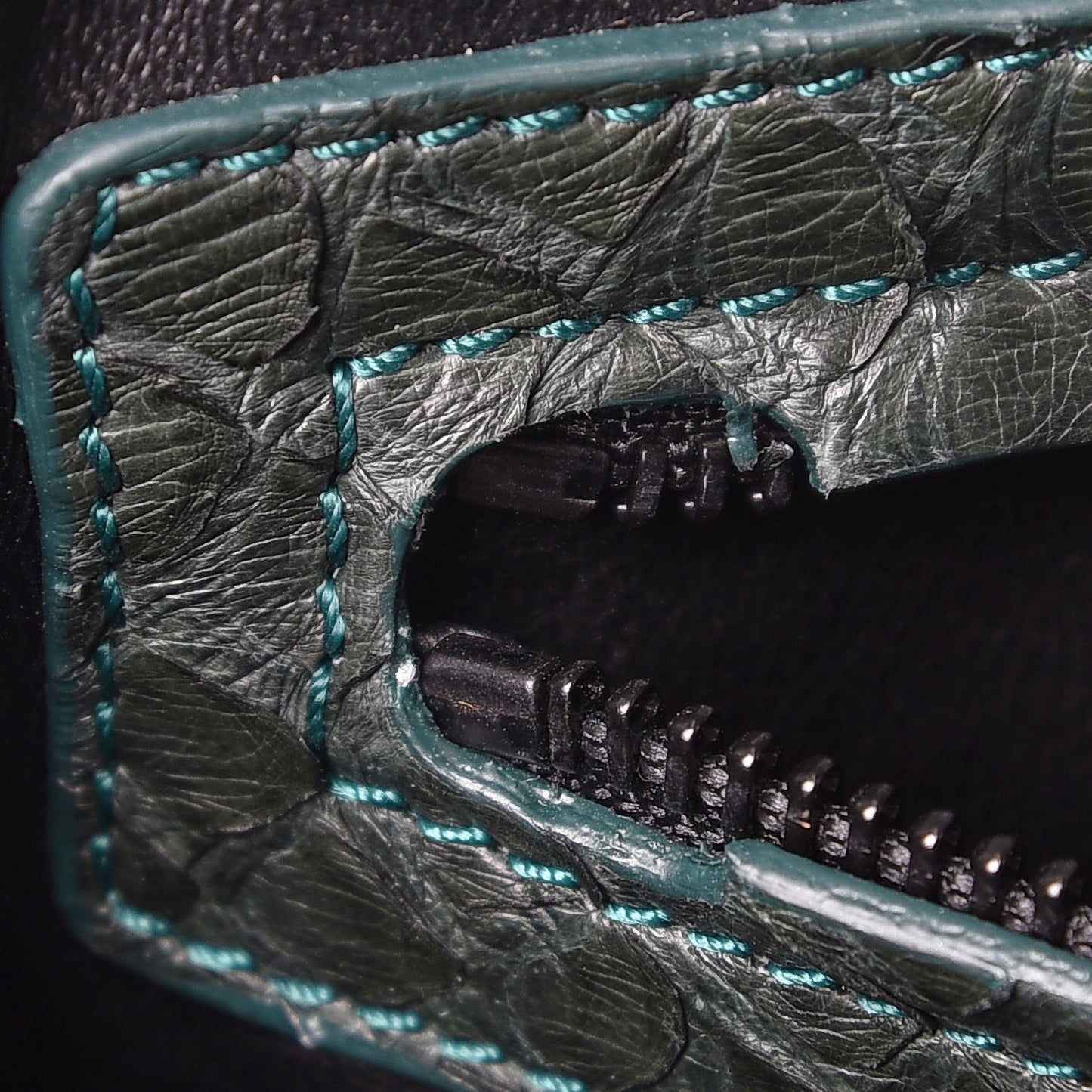 Python Medium Phantom Luggage Emerald