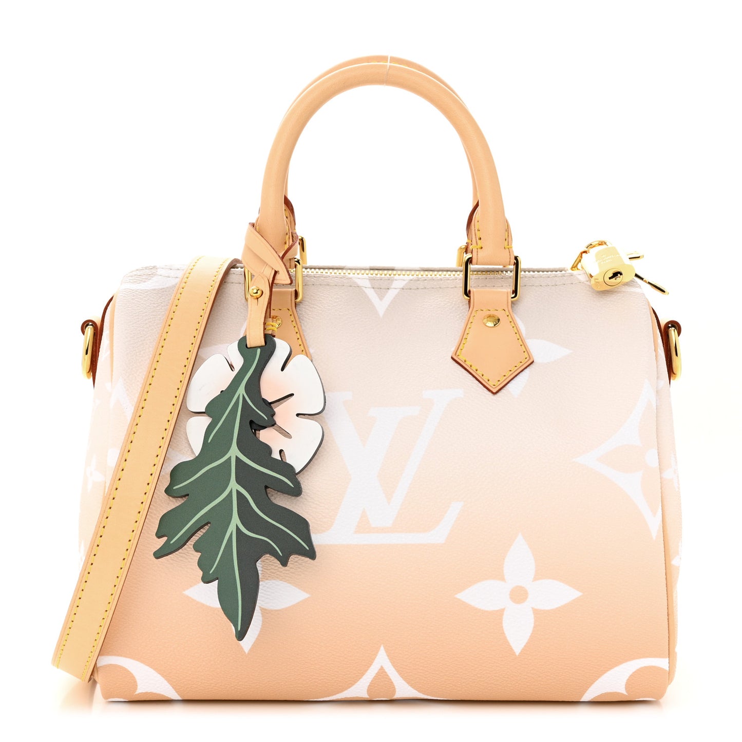 Monogram Giant By The Pool Speedy Bandouliere 25 Brume