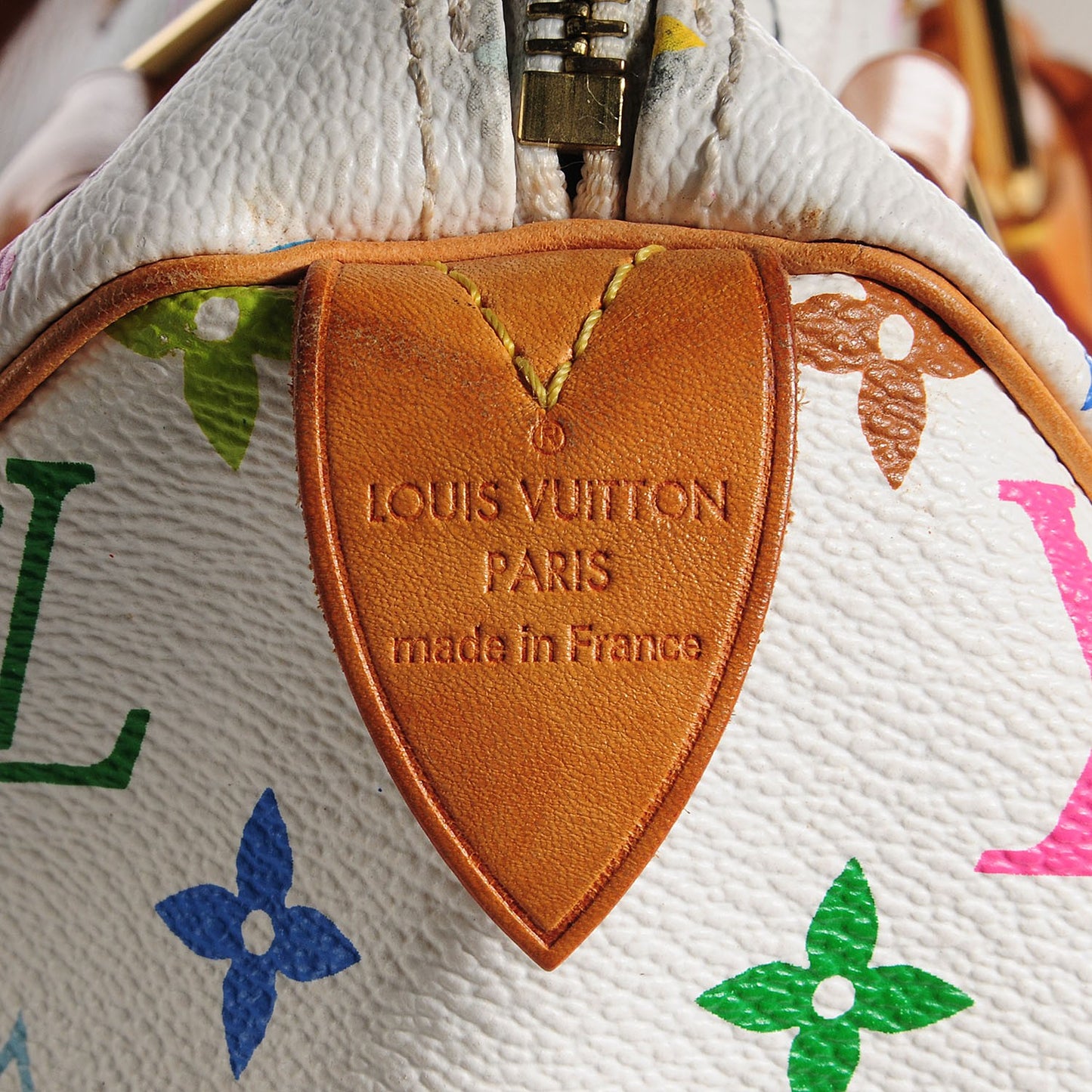 Monogram Multicolor Speedy 30 White