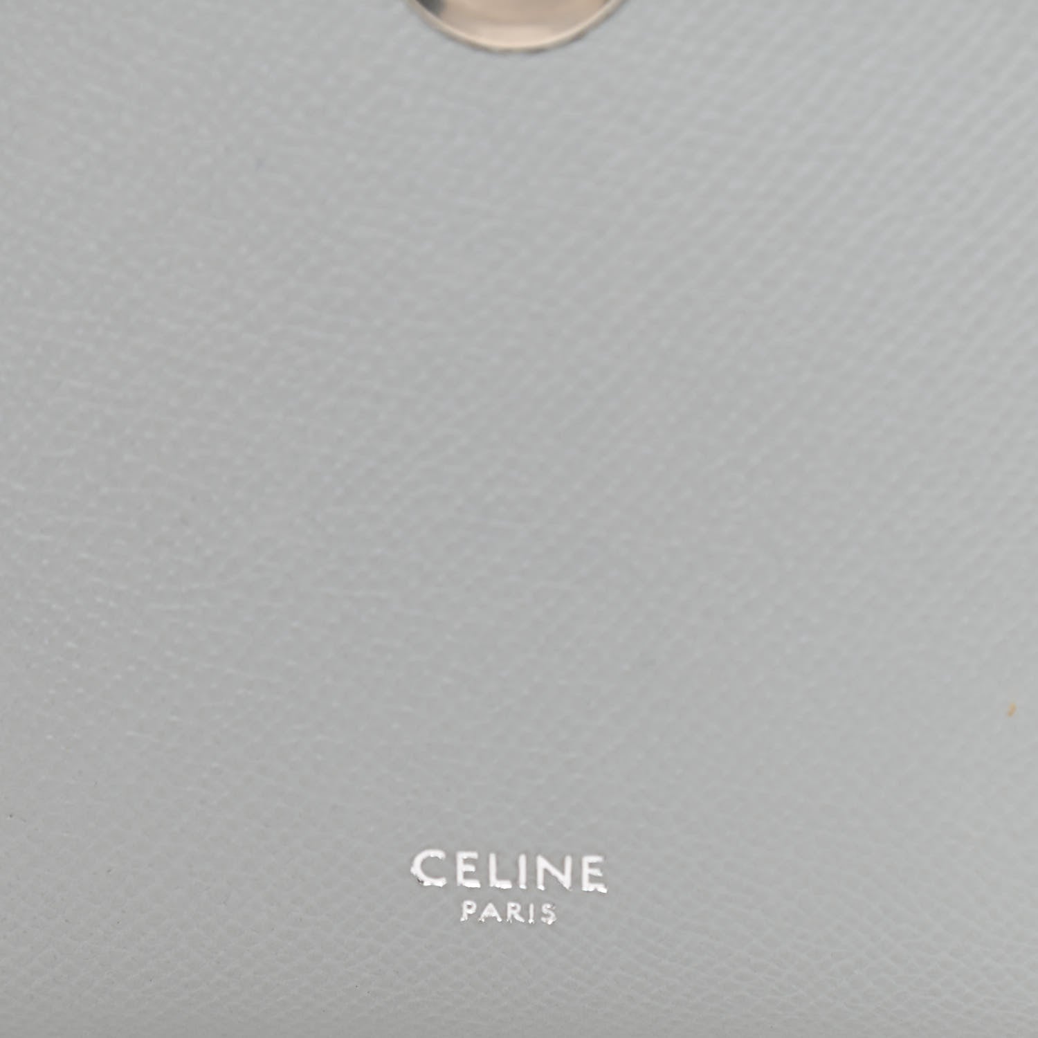 Celine Grained Calfskin Nano Belt Bag Mineral 6 of 11