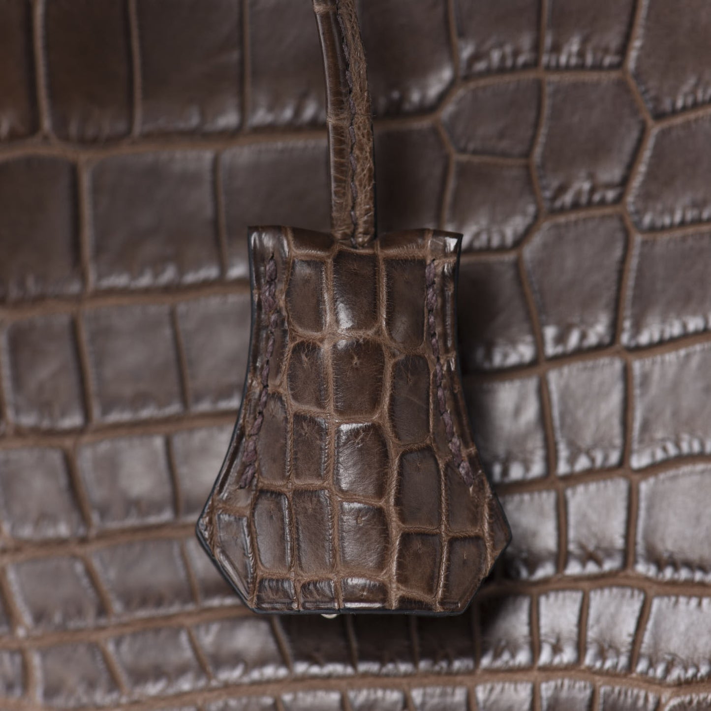Matte Niloticus Crocodile Birkin 30 Gris Elephant
