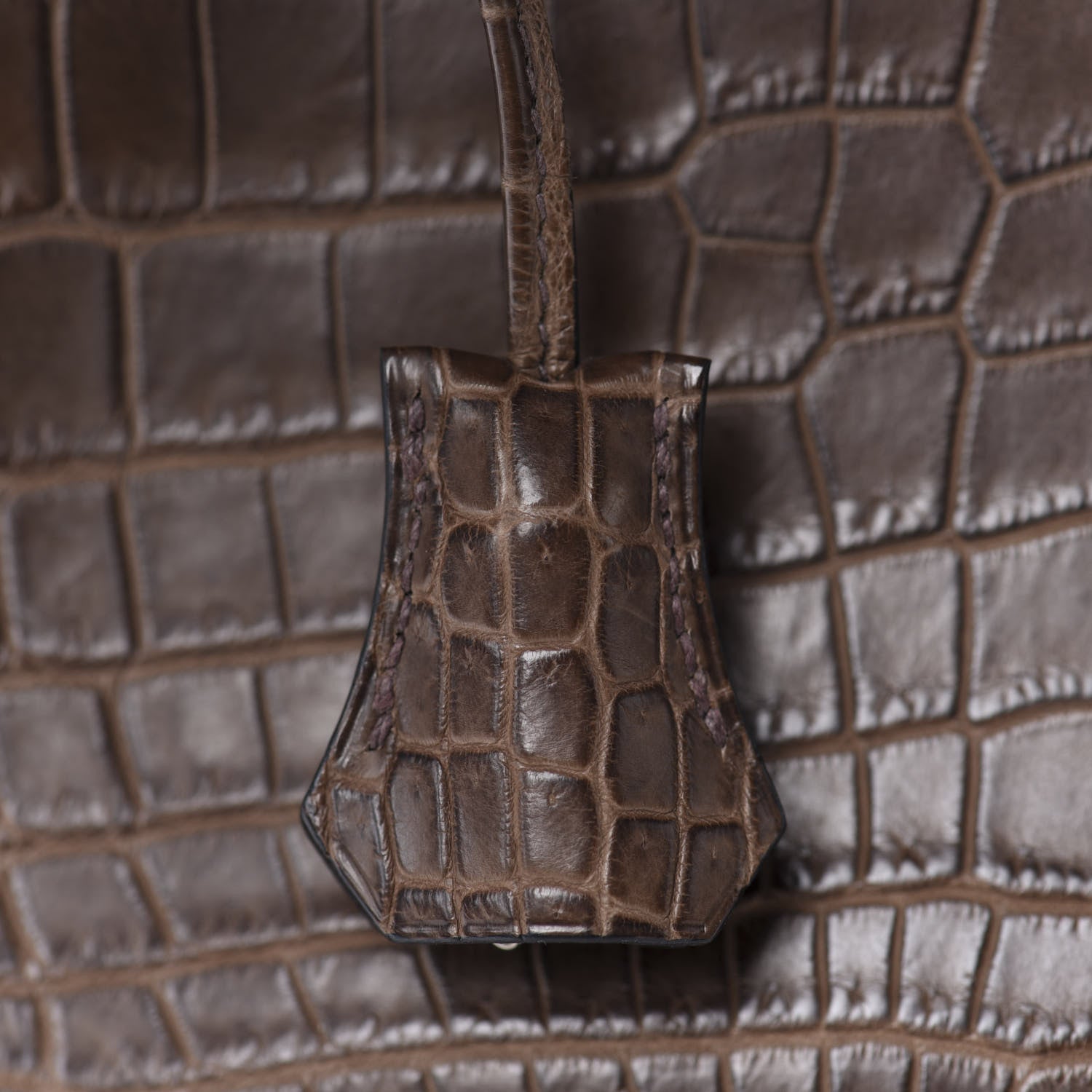 Hermes Matte Niloticus Crocodile Birkin 30 Gris Elephant 35 of 38