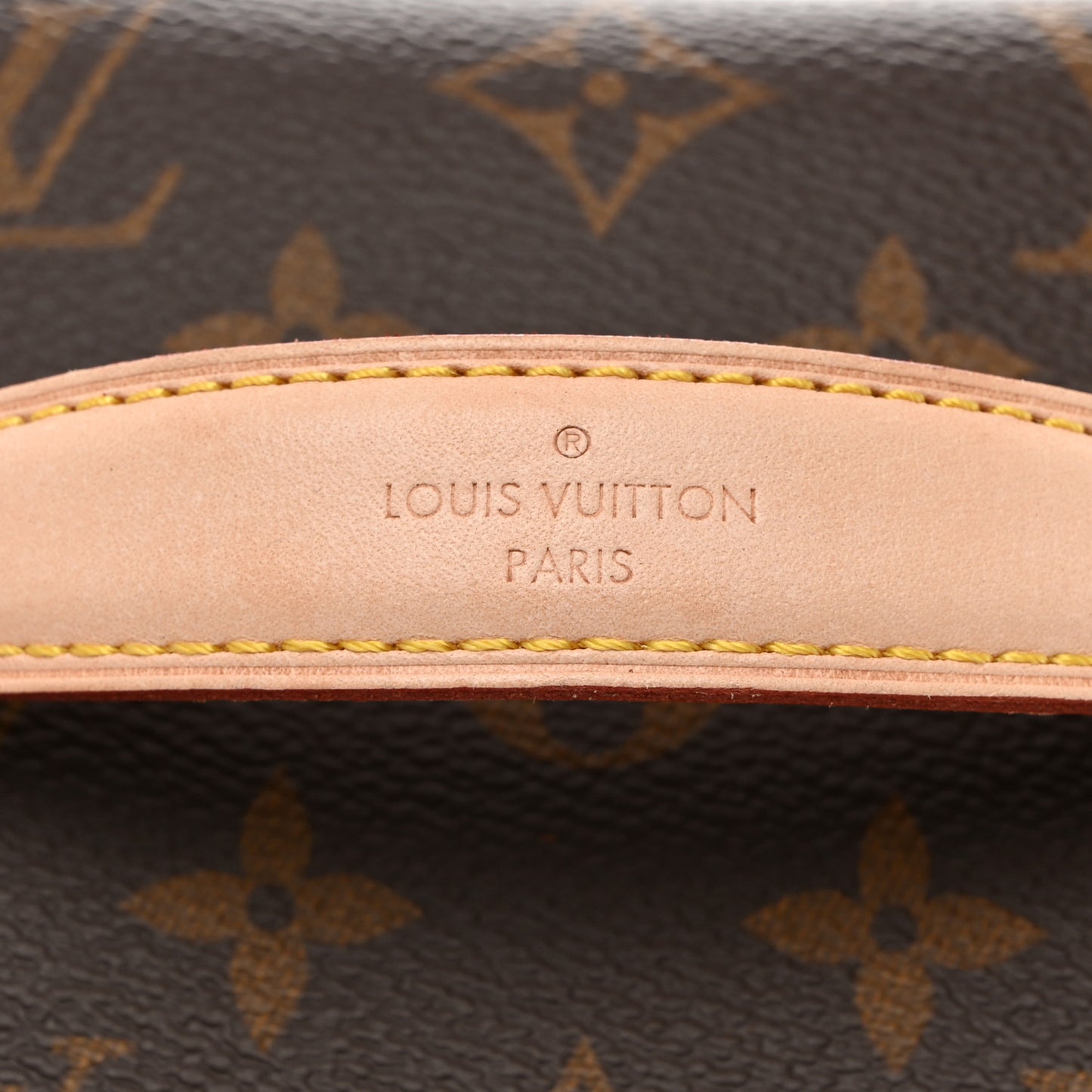 LOUIS VUITTON Monogram Nice Mini